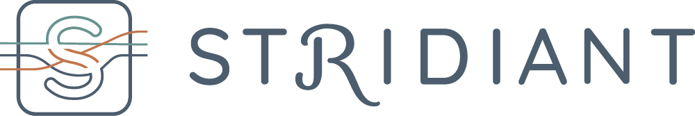 Stridiant logo – concierge mobility and balance service provider brand mark in modern minimalist typography